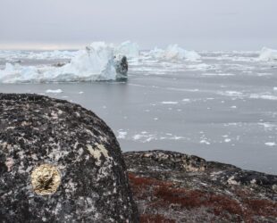 Lieu-Organique-de-Transcendance, Or pur sur roche, glacier Ilulissat, Groenland, Arctique©Oïjha2012