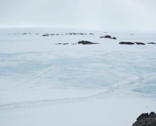 Lieu-Organique-de-Transcendance n°2, Or pur sur roche, Terre Adélie, Antarctique©Oïjha2015