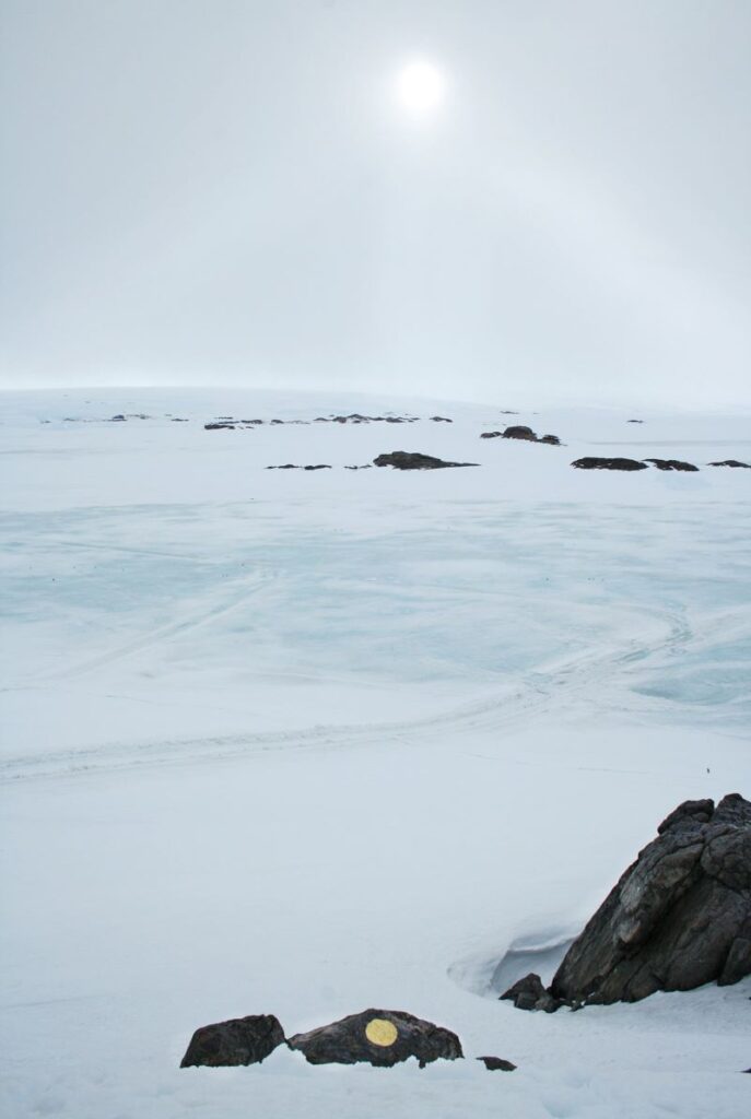 Lieu-Organique-de-Transcendance n°2, Or pur sur roche, Terre Adélie, Antarctique©Oïjha2015