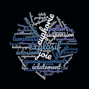 ANTARCTICA-GAMMA, OÏJHA, Première exposition officielle de la France en Antarctique, TAAF-IPEV, Terre Adélie, Antarctique, 2017-18 ©Oïjha2017