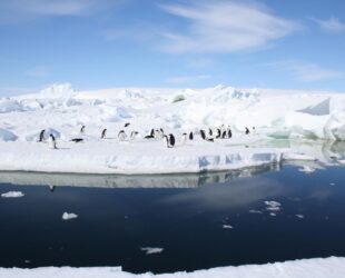 ANTARCTICA-GAMMA, OÏJHA, Première exposition officielle de la France en Antarctique, TAAF-IPEV, Terre Adélie, Antarctique, 2017-18 ©Oïjha2017