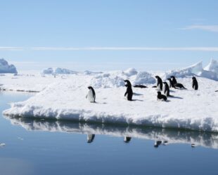 ANTARCTICA-GAMMA, OÏJHA, Première exposition officielle de la France en Antarctique, TAAF-IPEV, Terre Adélie, Antarctique, 2017-18 ©Oïjha2017