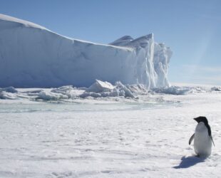 ANTARCTICA-GAMMA, OÏJHA, Première exposition officielle de la France en Antarctique, TAAF-IPEV, Terre Adélie, Antarctique, 2017-18 ©Oïjha2017