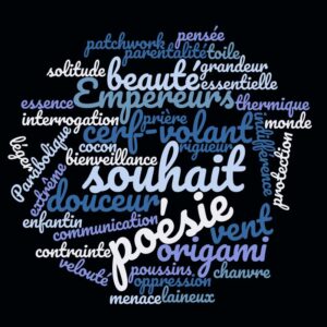 ANTARCTICA-GAMMA, OÏJHA, Première exposition officielle de la France en Antarctique, TAAF-IPEV, Terre Adélie, Antarctique, 2017-18 ©Oïjha2017