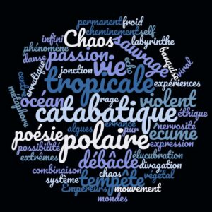 ANTARCTICA-GAMMA, OÏJHA, Première exposition officielle de la France en Antarctique, TAAF-IPEV, Terre Adélie, Antarctique, 2017-18 ©Oïjha2017