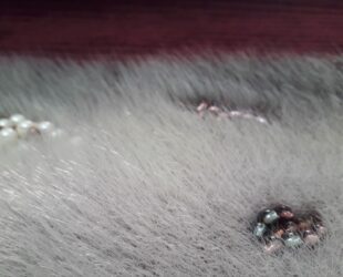 PUISI KINTSUGI - Réparation des cicatrices naturelles du phoque. 7 costumes chamanes féminins ©Oïjha2020